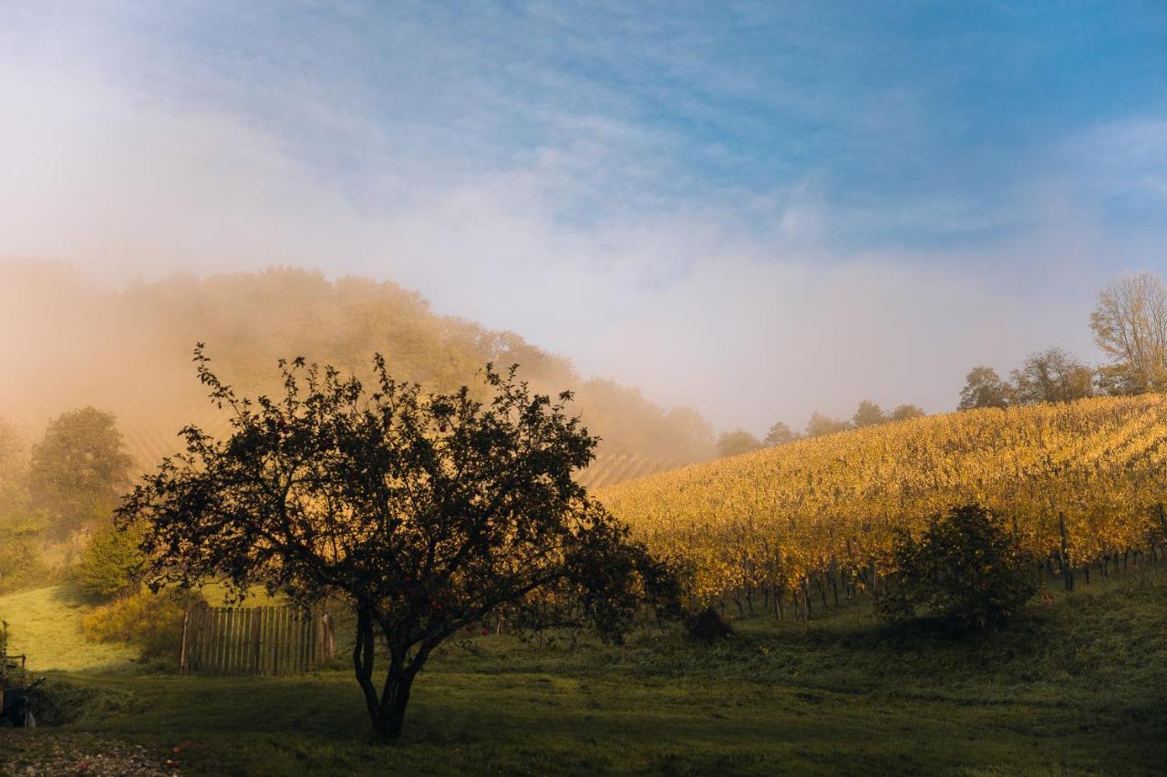 Luxury Vineyard Resort Chateau Ramsak Maribor Luaran gambar