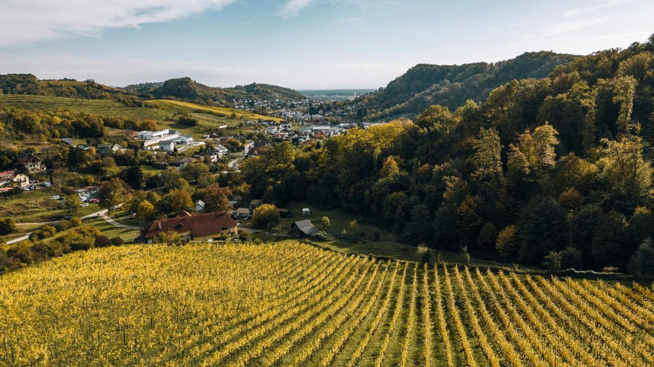 Luxury Vineyard Resort Chateau Ramsak Maribor Luaran gambar